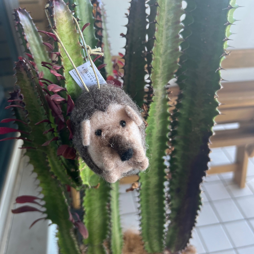 Wool hanging Echidna Christmas Tree Decor